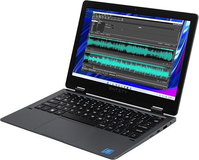Entity Book 11.6 Targa 4 in 1 Laptop Touchscreen Intel Celeron N4040 128GB Black