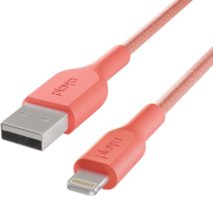 Coral USB cable with connectors on a white background
